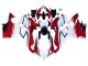 2018-2019 Ducati Panigale V4 V4S Motorcycle Fairings - White Red Green Glossy Black Australia for Sale