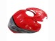 2019-2022 BMW S1000RR Motorcycle Fairings - Black Red Grey Australia for Sale