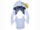 2019-2022 BMW S1000RR Motorcycle Fairings - White Gold Australia for Sale