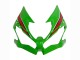 2019-2022 Kawasaki ZX6R Motorcycle Fairings - Green Glossy Black Red Australia for Sale