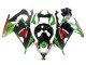 2013-2024 Kawasaki EX300 Motorcycle Fairings - Green White Red Black Elf Australia for Sale