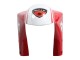 1993-2005 Ducati 748/916/996/998 Motorcycle Fairings - White Red Yellow Green Glossy Black Performance Australia for Sale