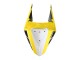 2019-2021 Yamaha YZF R3/R25 Motorcycle Fairings - Yellow White Black Stripe Australia for Sale