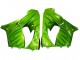 2000-2001 Kawasaki ZX9R Motorcycle Fairings - Green Flame Australia for Sale