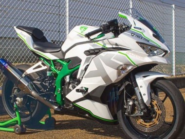 2019-2025 Kawasaki ZX25R ZX-25R Motorcycle Fairings - White Silver Green Australia for Sale